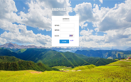 电商监测统计系统